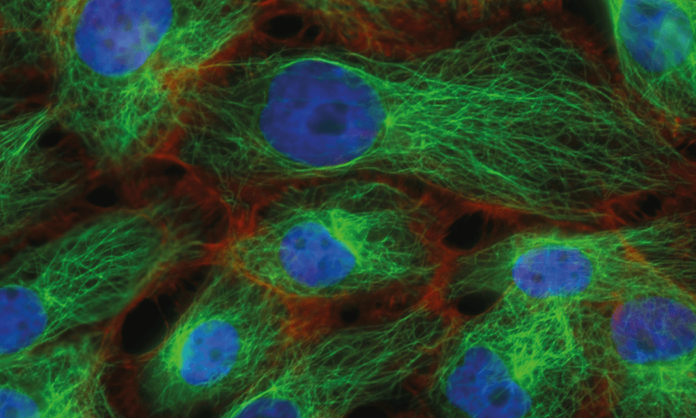 shallow focus photography of computer codes