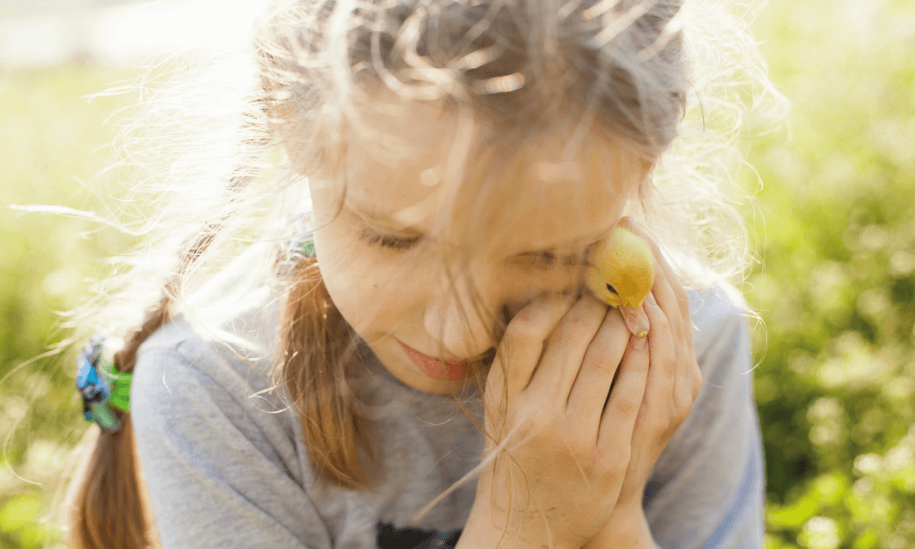 shallow focus photography of computer codes