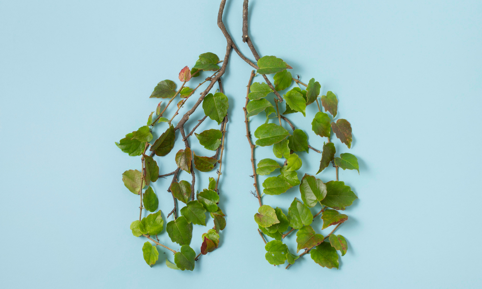 shallow focus photography of computer codes