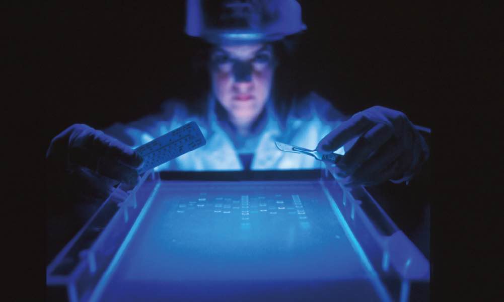 shallow focus photography of computer codes