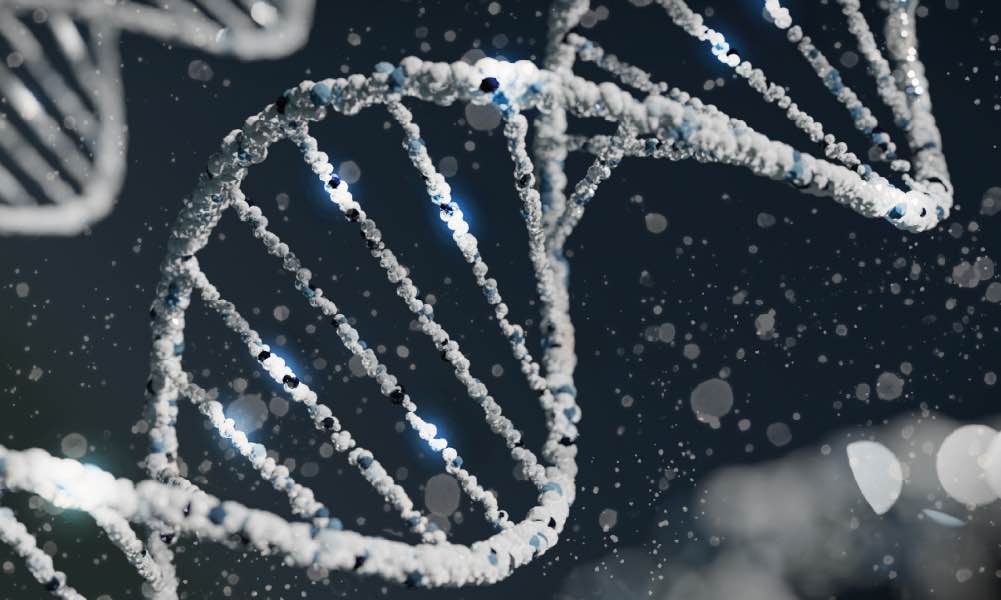 shallow focus photography of computer codes