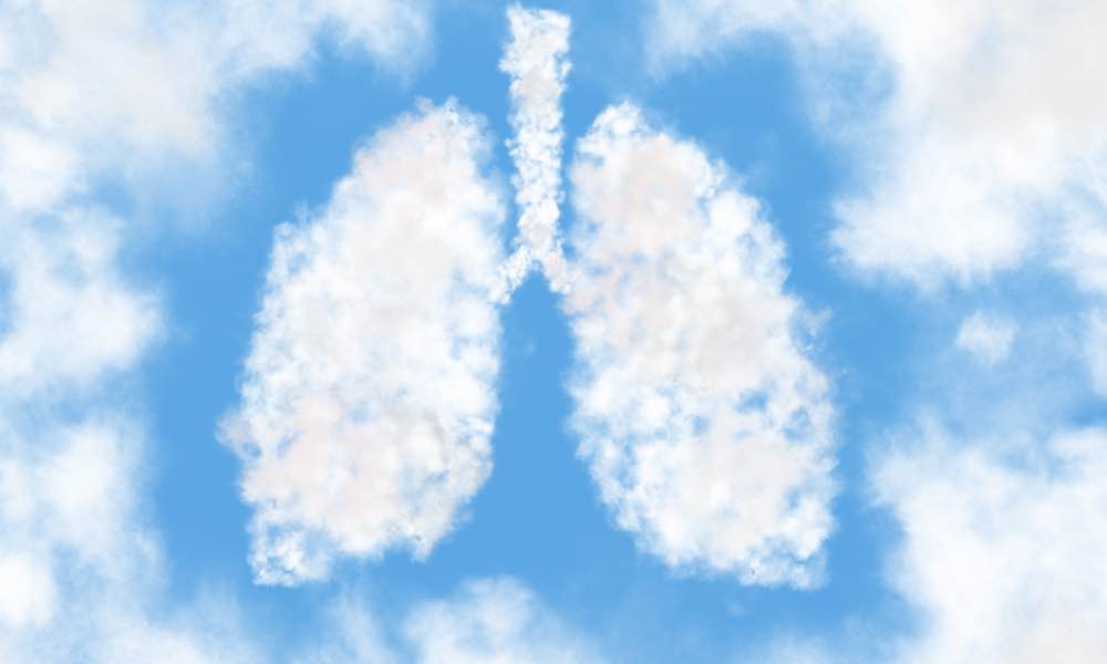 shallow focus photography of computer codes