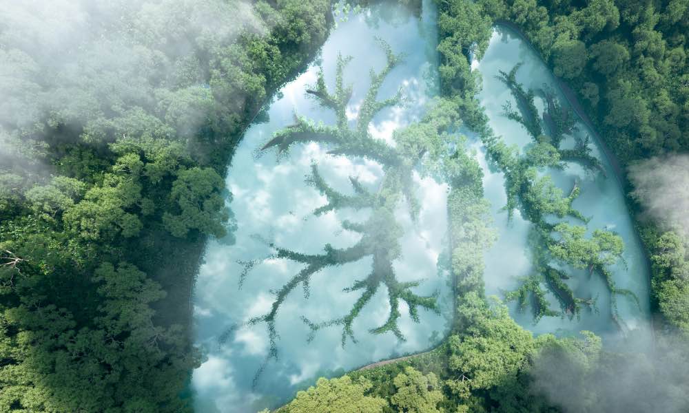 shallow focus photography of computer codes