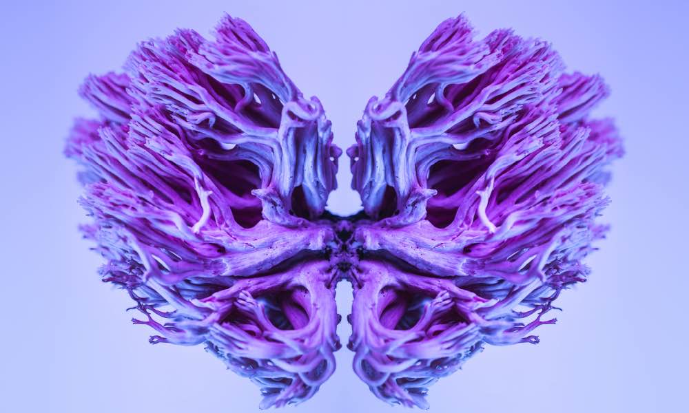 shallow focus photography of computer codes