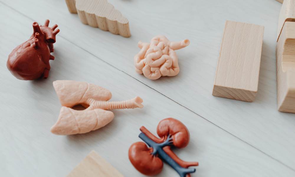 shallow focus photography of computer codes