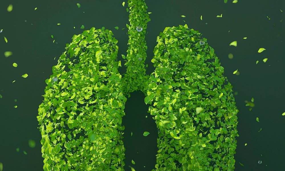 shallow focus photography of computer codes